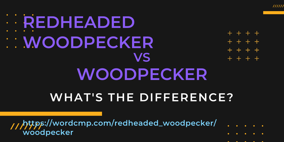 Difference between redheaded woodpecker and woodpecker