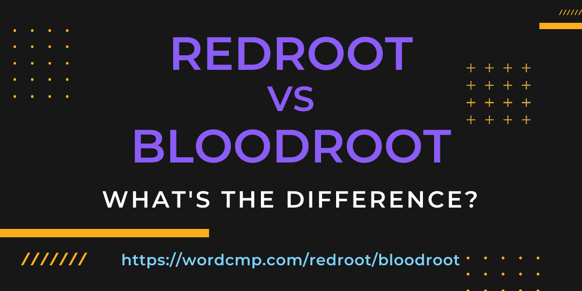 Difference between redroot and bloodroot
