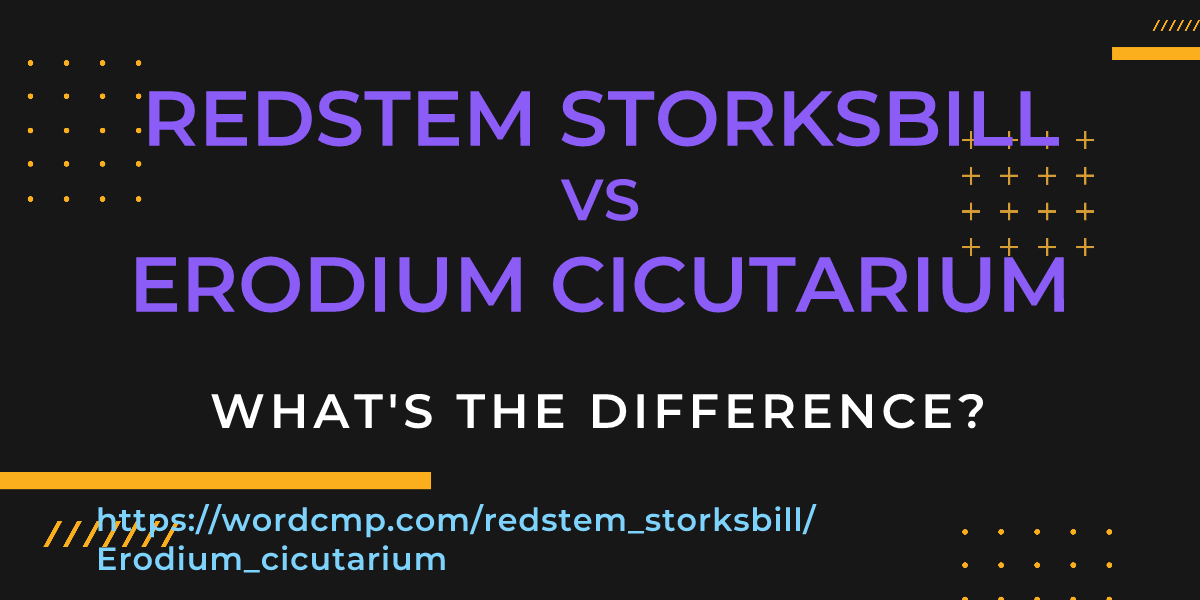 Difference between redstem storksbill and Erodium cicutarium