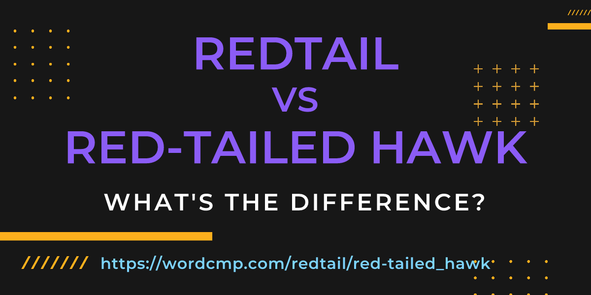 Difference between redtail and red-tailed hawk