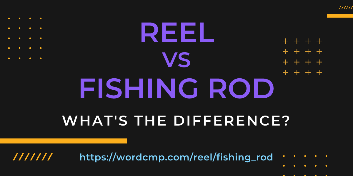 Difference between reel and fishing rod