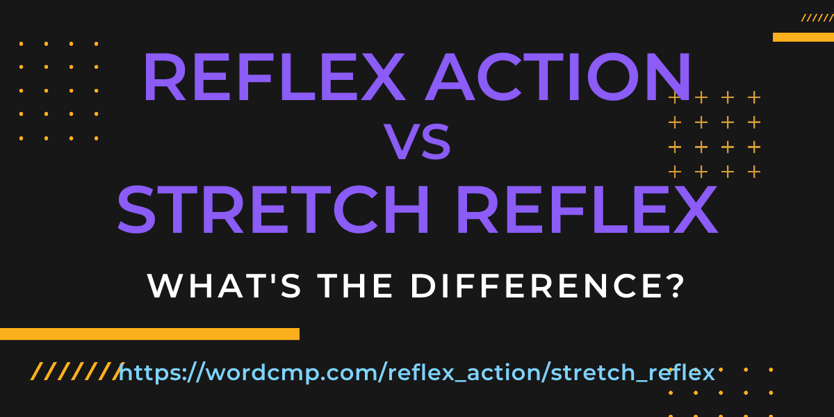 Difference between reflex action and stretch reflex