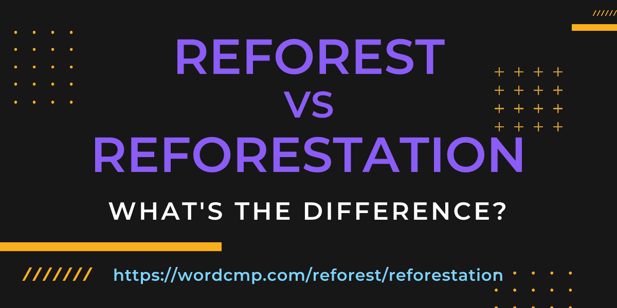Difference between reforest and reforestation