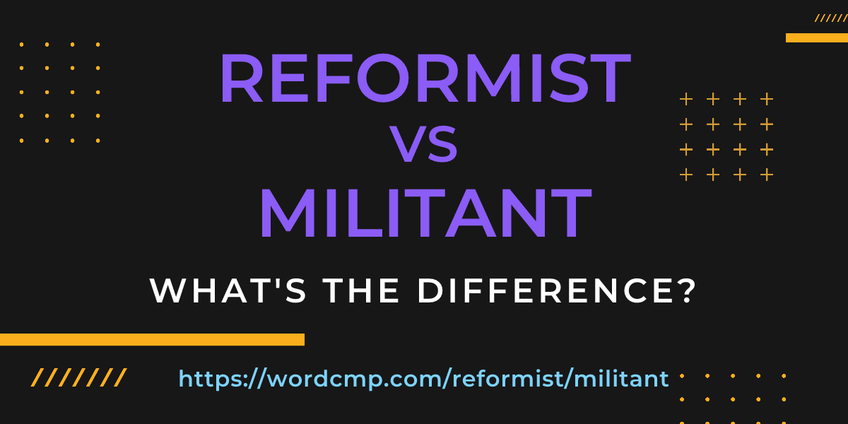 Difference between reformist and militant