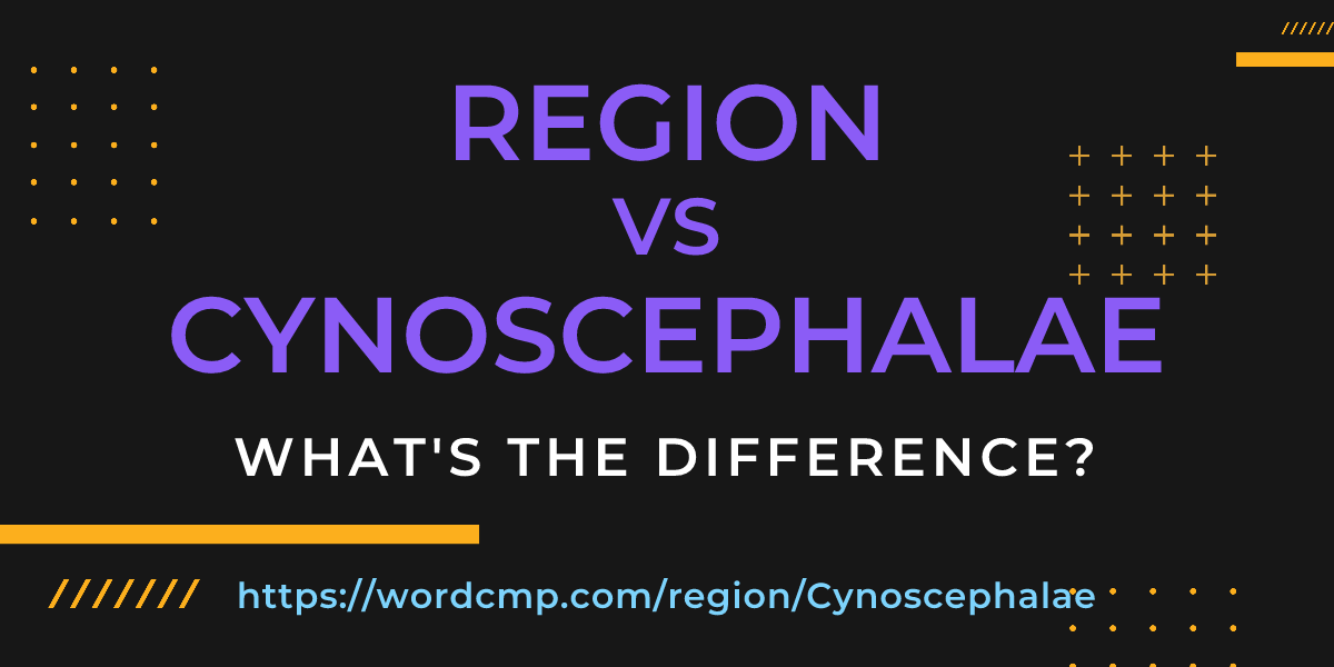 Difference between region and Cynoscephalae