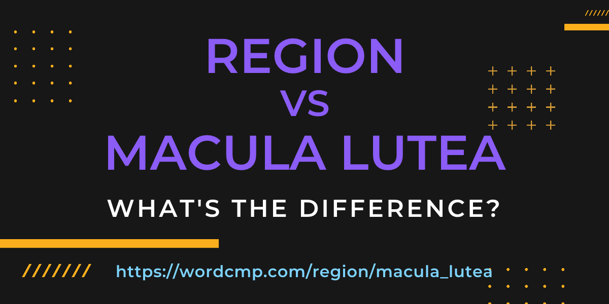Difference between region and macula lutea