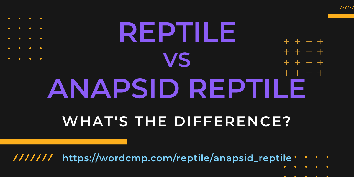 Difference between reptile and anapsid reptile