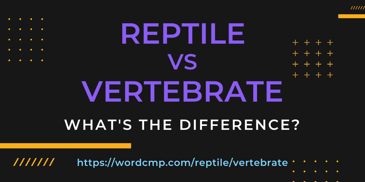 Difference between reptile and vertebrate