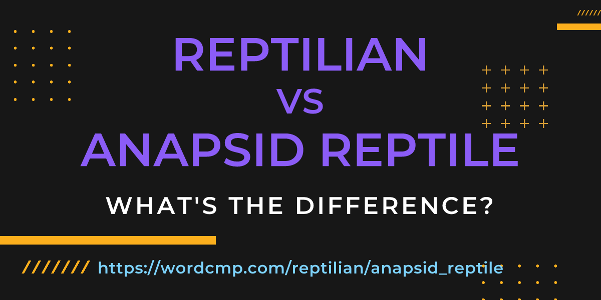 Difference between reptilian and anapsid reptile
