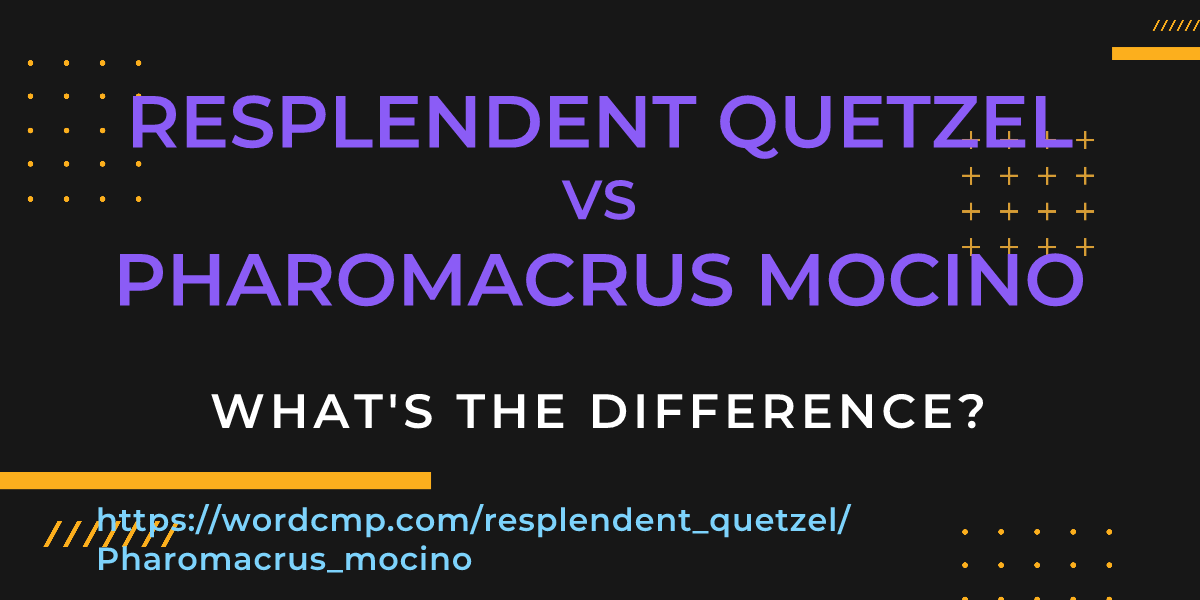 Difference between resplendent quetzel and Pharomacrus mocino