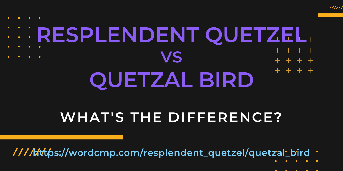 Difference between resplendent quetzel and quetzal bird