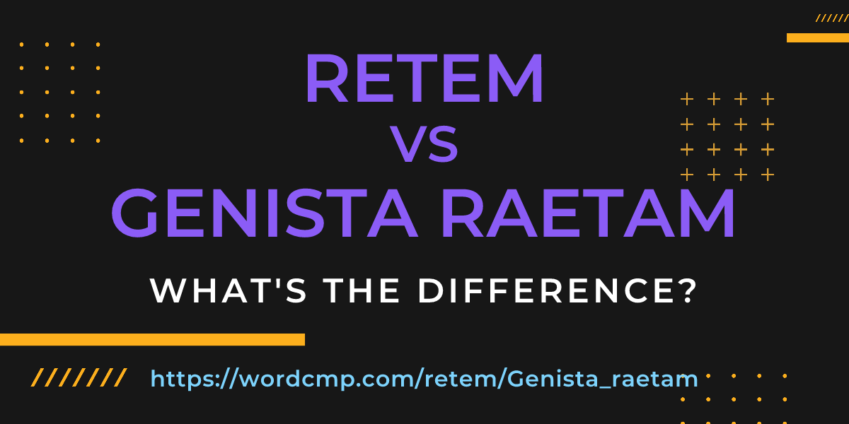 Difference between retem and Genista raetam
