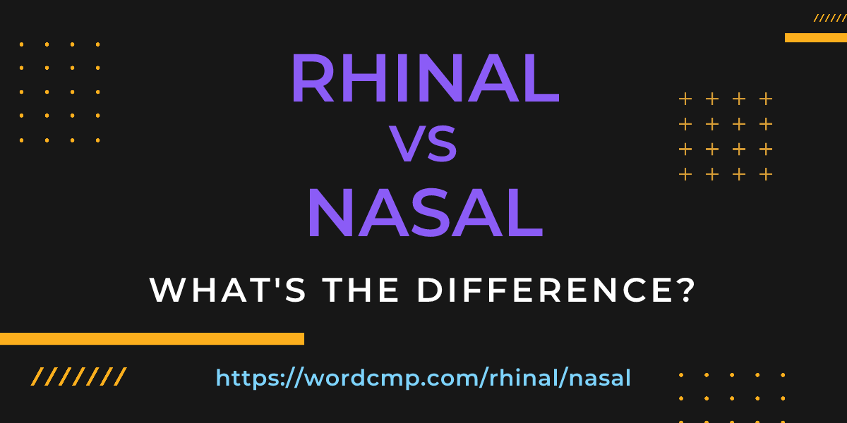 Difference between rhinal and nasal
