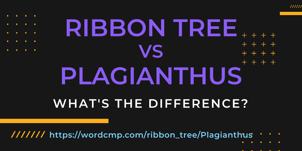 Difference between ribbon tree and Plagianthus