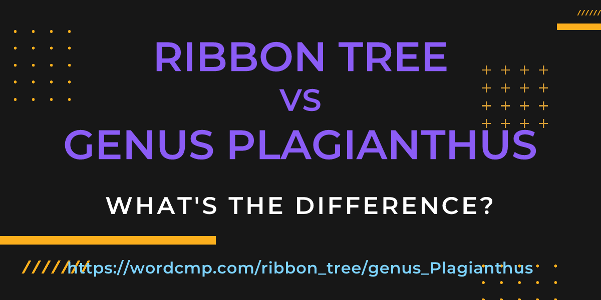 Difference between ribbon tree and genus Plagianthus