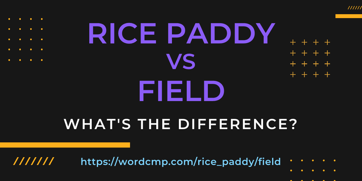 Difference between rice paddy and field