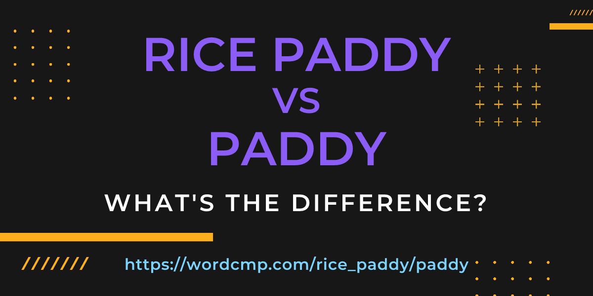Difference between rice paddy and paddy