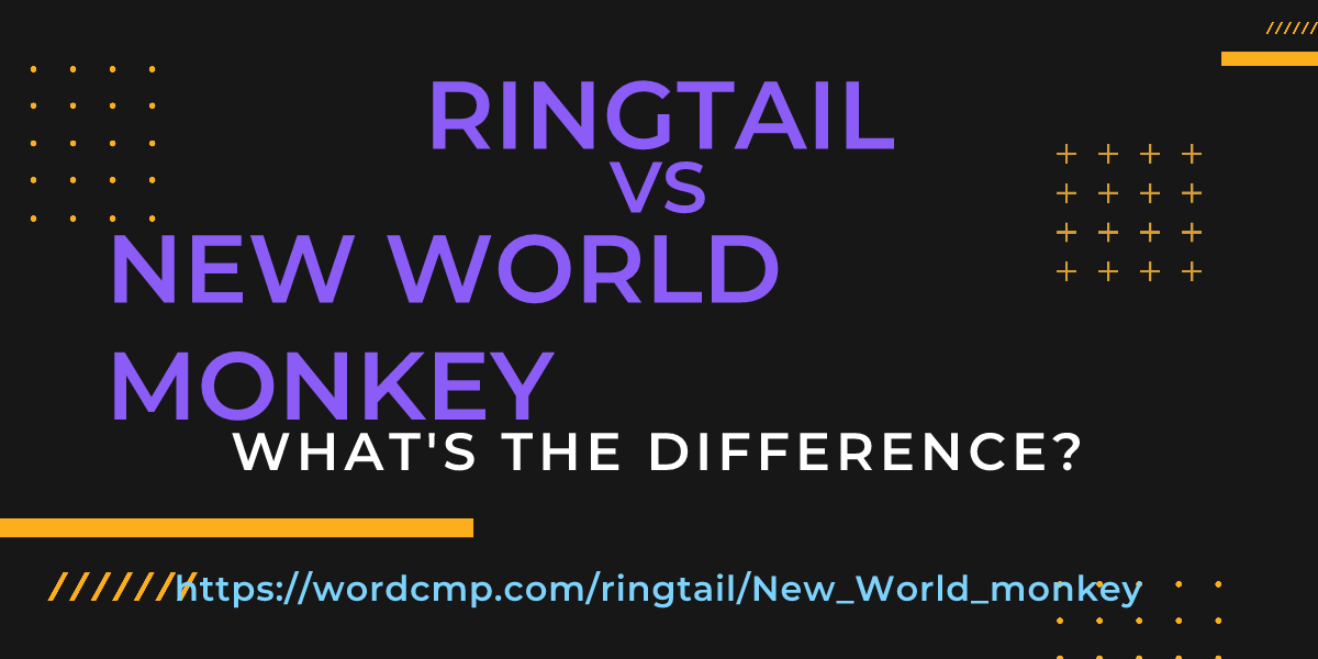 Difference between ringtail and New World monkey