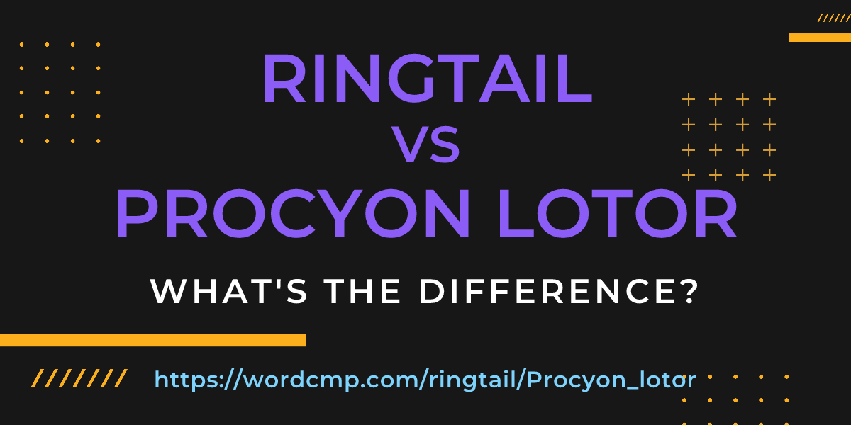 Difference between ringtail and Procyon lotor