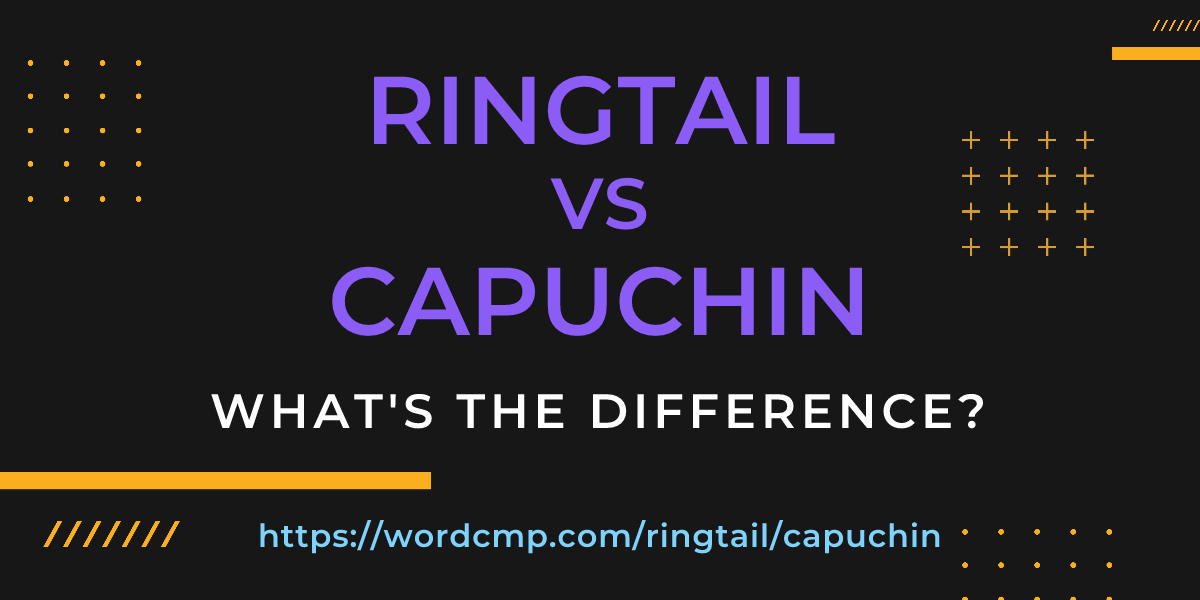 Difference between ringtail and capuchin