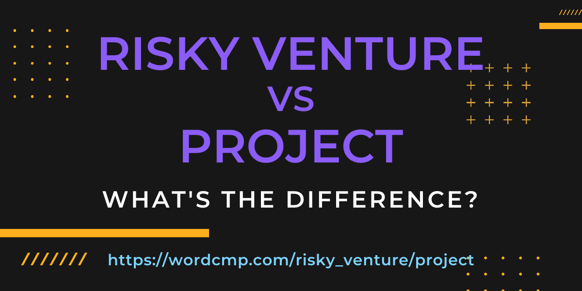 Difference between risky venture and project