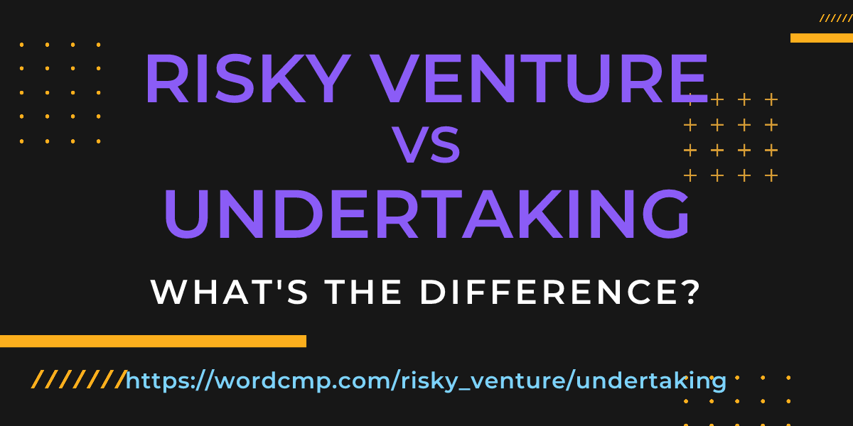 Difference between risky venture and undertaking