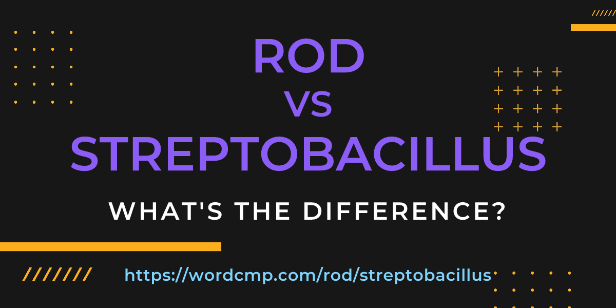 Difference between rod and streptobacillus