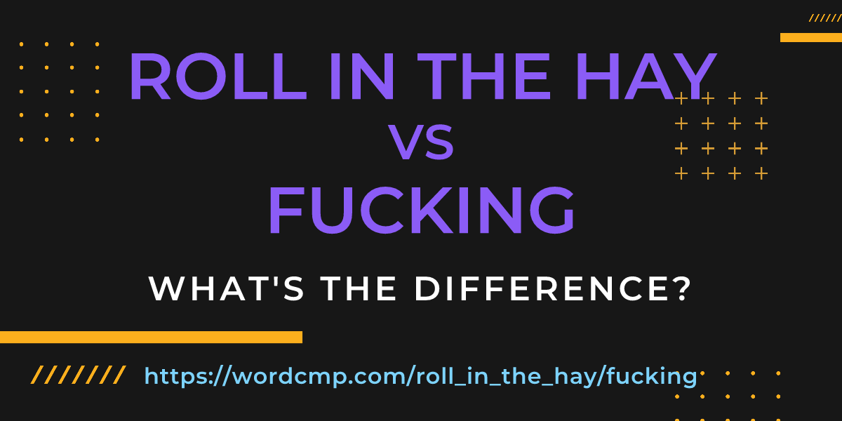 Difference between roll in the hay and fucking