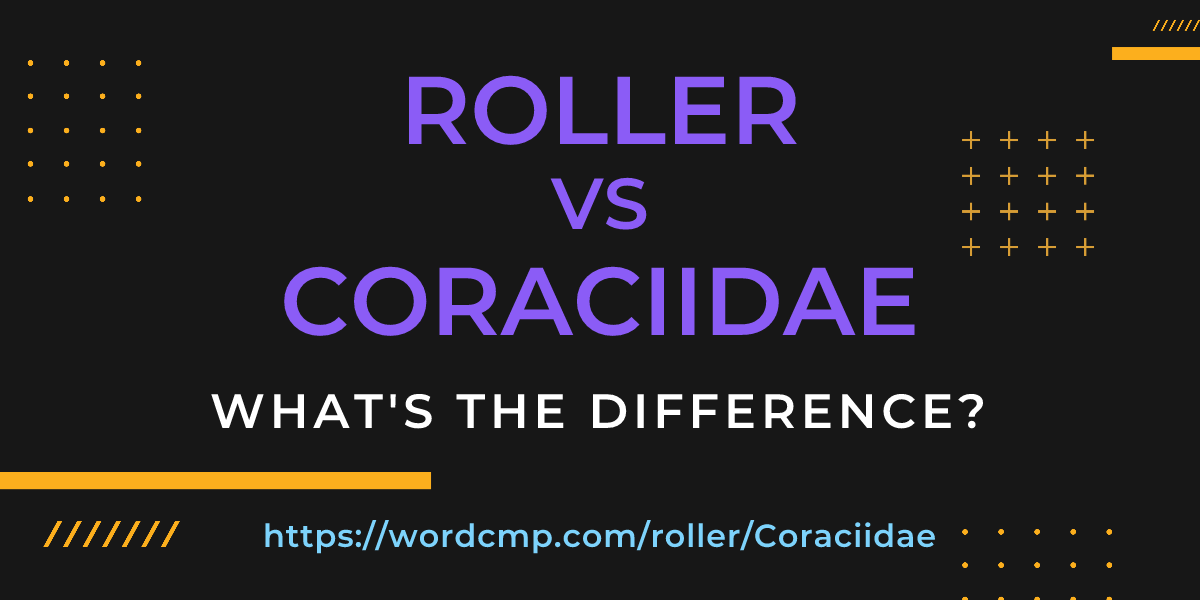 Difference between roller and Coraciidae