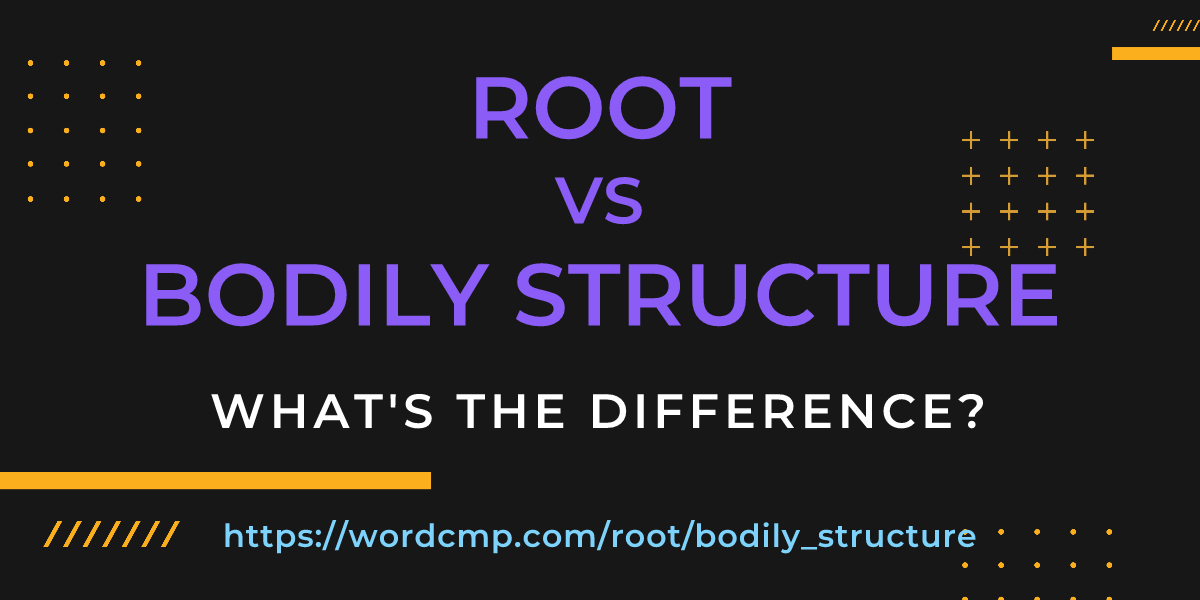 Difference between root and bodily structure