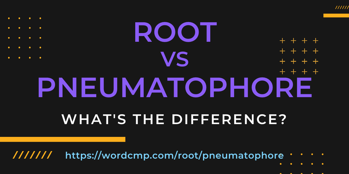 Difference between root and pneumatophore