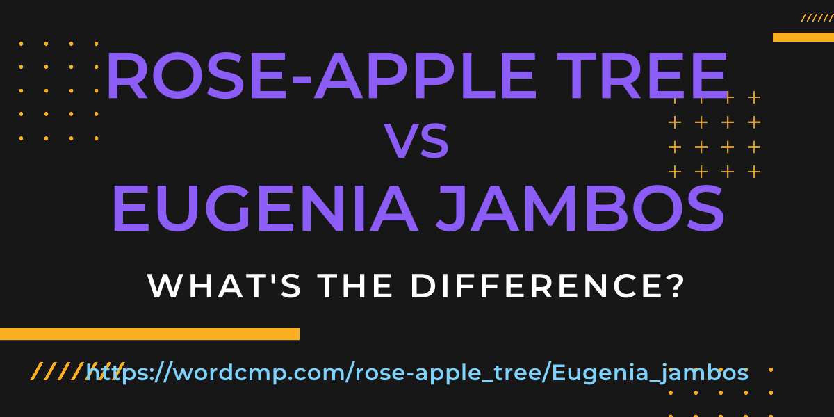 Difference between rose-apple tree and Eugenia jambos