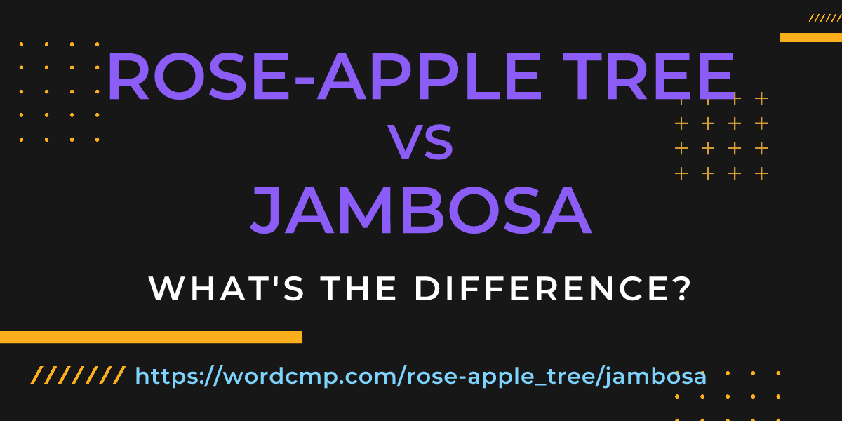 Difference between rose-apple tree and jambosa