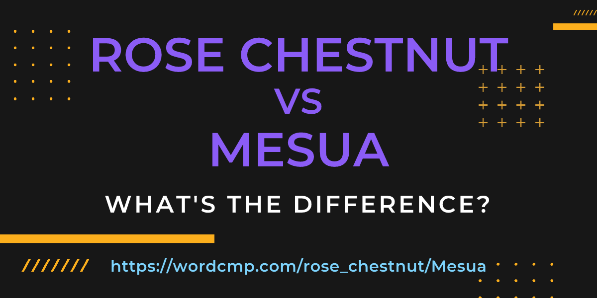 Difference between rose chestnut and Mesua