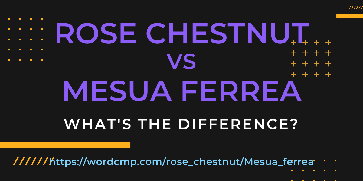 Difference between rose chestnut and Mesua ferrea