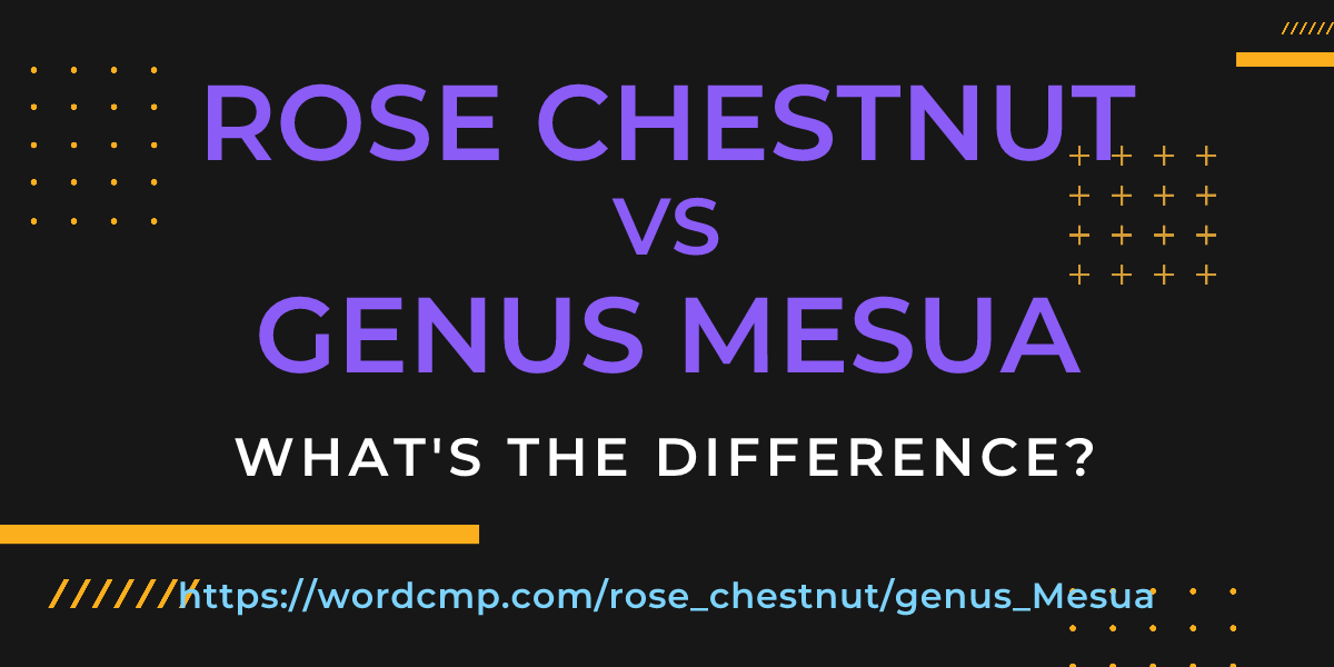 Difference between rose chestnut and genus Mesua