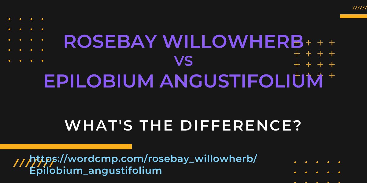 Difference between rosebay willowherb and Epilobium angustifolium