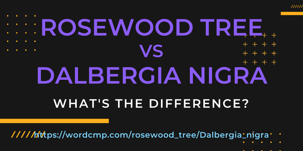 Difference between rosewood tree and Dalbergia nigra