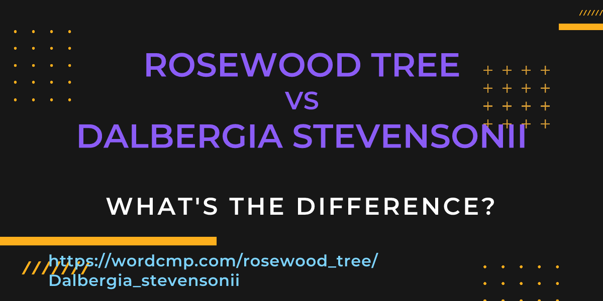 Difference between rosewood tree and Dalbergia stevensonii