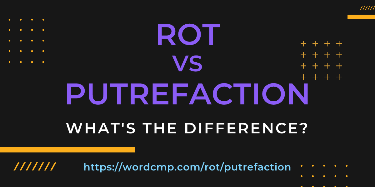 Difference between rot and putrefaction