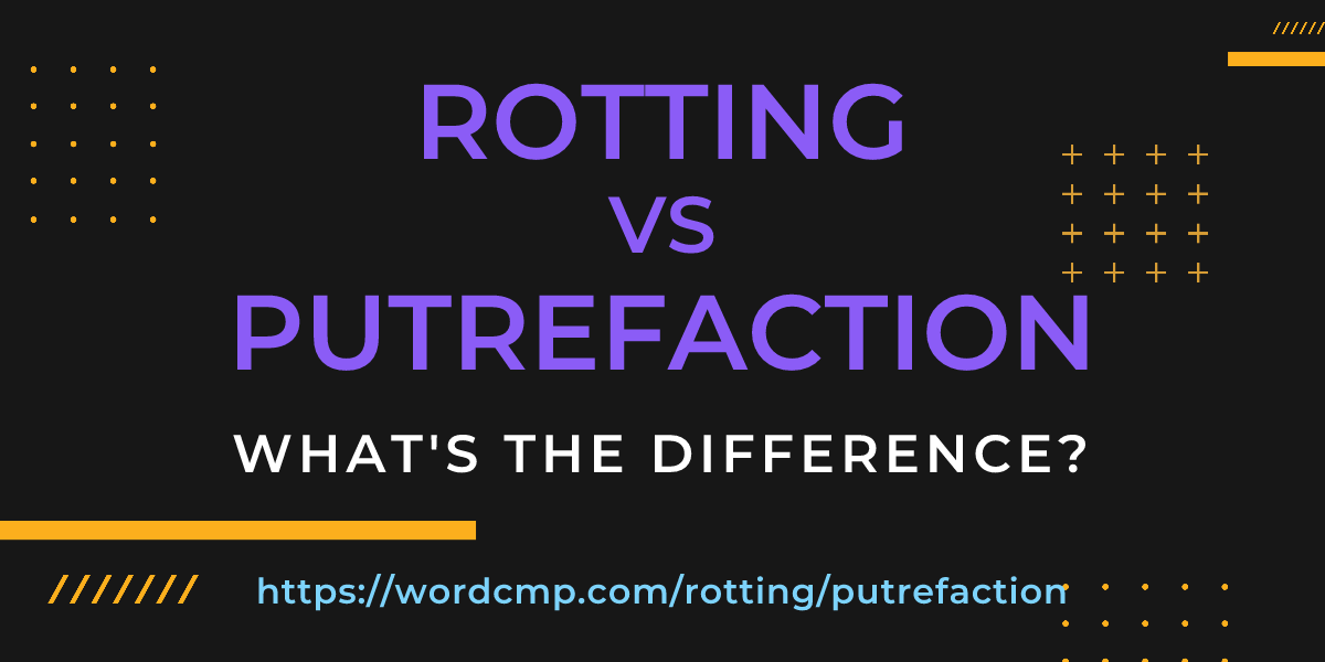 Difference between rotting and putrefaction