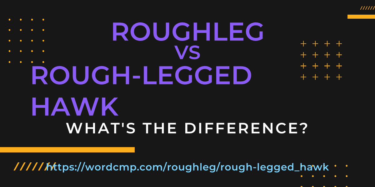 Difference between roughleg and rough-legged hawk