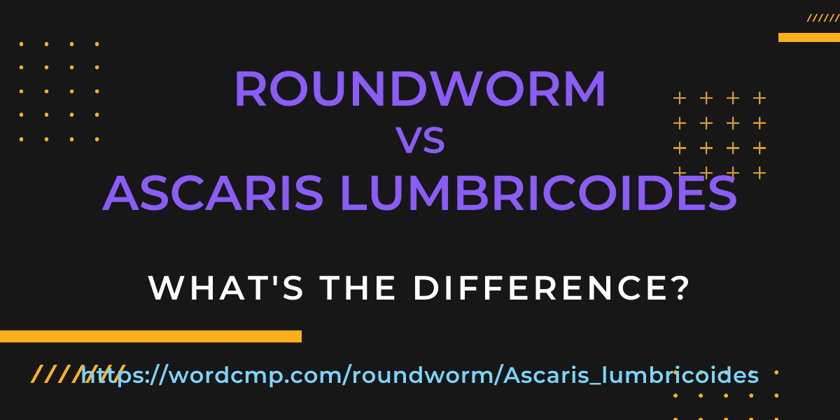 Difference between roundworm and Ascaris lumbricoides