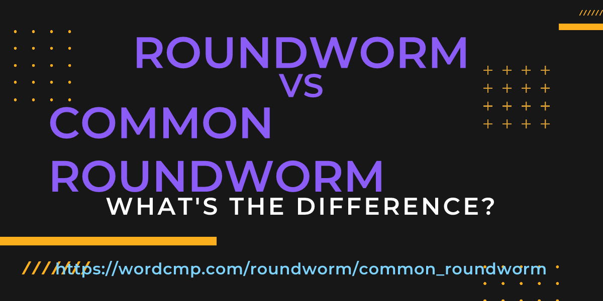 Difference between roundworm and common roundworm