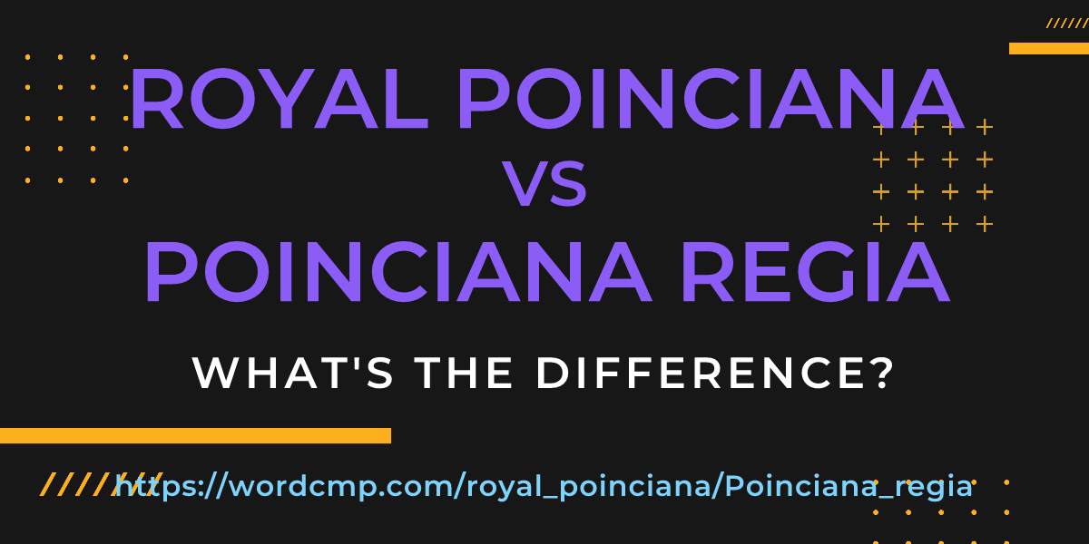 Difference between royal poinciana and Poinciana regia