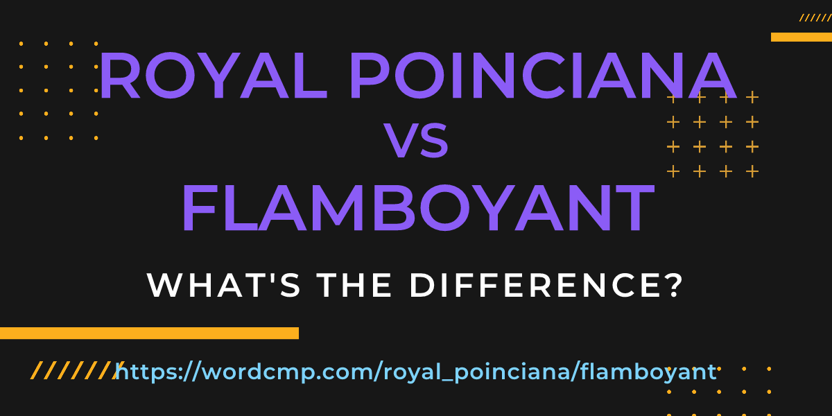 Difference between royal poinciana and flamboyant