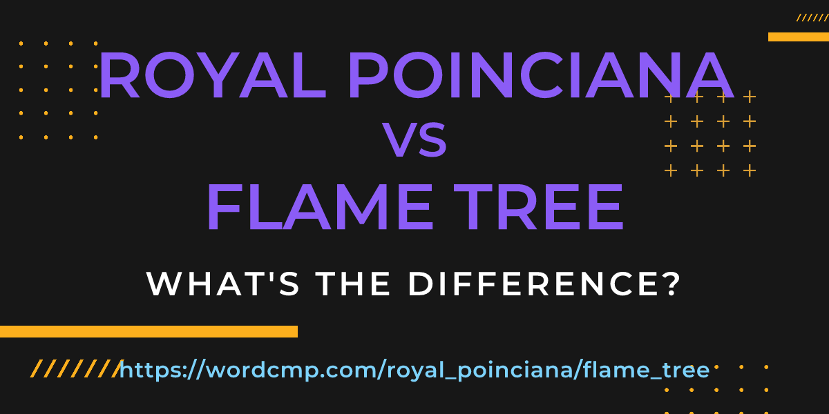 Difference between royal poinciana and flame tree