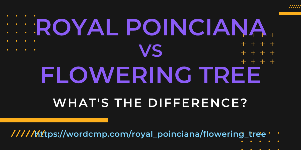 Difference between royal poinciana and flowering tree