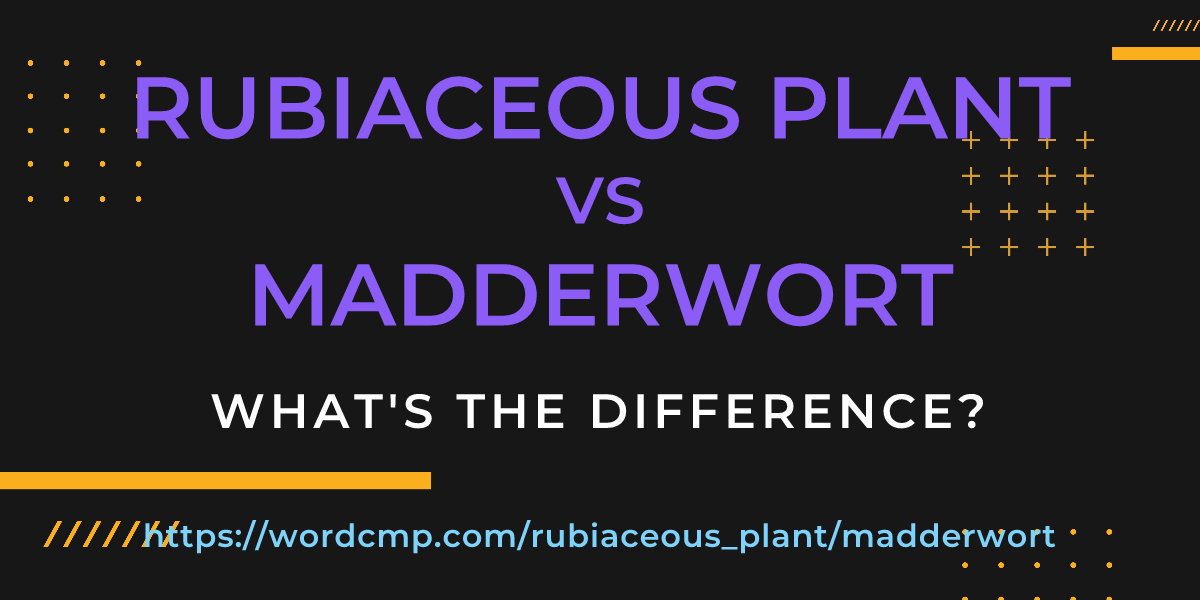 Difference between rubiaceous plant and madderwort