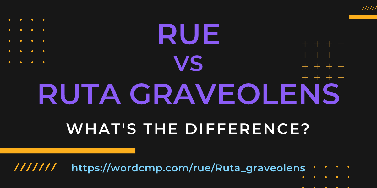Difference between rue and Ruta graveolens